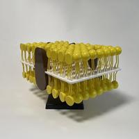 Modèle de structure de membrane cellulaire - Kit de modélisation de mosaïque fluide pour l'enseignement de la biologie et la démonstration scientifique