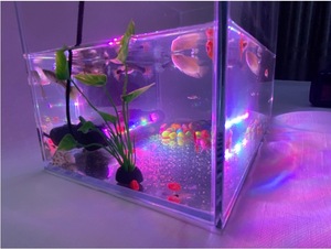 Lampe <span class=keywords><strong>d</strong></span>'<span class=keywords><strong>aquarium</strong></span> submersible à double rangée, 3 modes <span class=keywords><strong>de</strong></span> couleur, pour la croissance des plantes <span class=keywords><strong>d</strong></span>'<span class=keywords><strong>eau</strong></span> douce et <span class=keywords><strong>d</strong></span>'<span class=keywords><strong>eau</strong></span> salée - Product Image 5