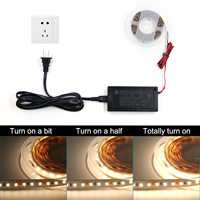 Adaptateur LED VST ultra-fin, contrôle multiple de la température de couleur, pilote LED, transformateur LED, alimentation sans fil pour LED