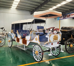 Voiture électrique blanche de type Victoria pour le tourisme, avec sièges bleus, à prix abordable, pour transport spécial. - Product Image 4