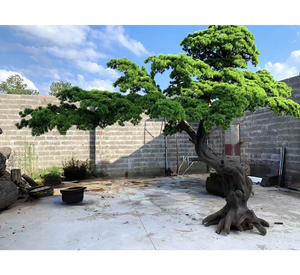 מפעל מכירה ישירה גדול מלאכותי עץ מלאכותי עשב ירוק מזויף עץ אורן <span class=keywords><strong>bonsai</strong></span> - Product Image 6