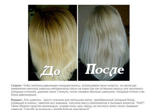 Champú Morado para Cabello Rubio, Champú Azul para Tonos Plateados y Violetas - Product Image 5