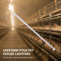 Tube lumineux LED 26 mm pour élevages de poulets, 1200 mm, étanche IP67, IRC>83, éclairage dimmable pour volailles destiné aux fermes commerciales de poulets de chair et de poules pondeuses
