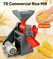 Machine à décortiquer et à polir le riz automatique compacte 500-600 kg/h pour usage agricole et domestique