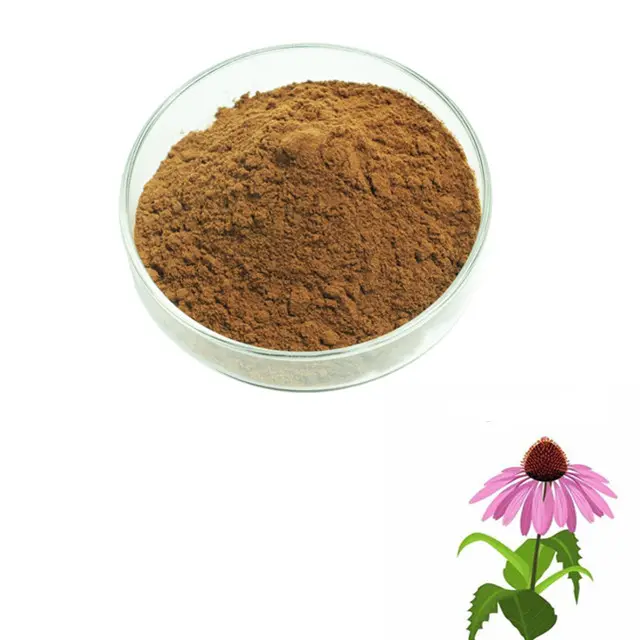 Bulk Natural 4% Polyphenol Echinacea Purpurea Plant Extract Powder