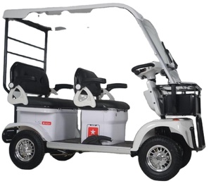 Scooter de mobilité pour véhicule, quadricycle électrique de loisirs, <span class=keywords><strong>quad</strong></span> avec toit - Product Image 5