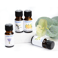 Huile de parfum de marque Pure oud diffuseur en gros d'huile essentielle nouveau pour les diffuseurs de brûleur de roseau