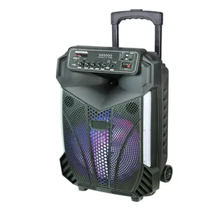 高品质专业手持音箱便携式低音扬声器可充电BT派对卡拉ok音箱低价