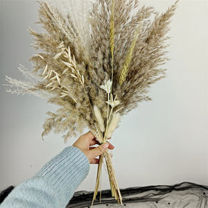 Arreglo Floral Boho de <span class=keywords><strong>Eucalipto</strong></span> y Hierba de Pampas, Decoración Nórdica de Algodón y Lavanda para Interiores, Decoración Navideña Ecológica al por Mayor - Product Image 1