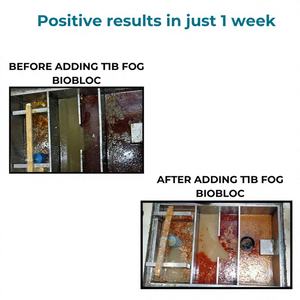 Bloque Biológico Orgánico T1B FOG para una Gestión Eficaz de FOG en Trampas de Grasa en India - Product Image 1