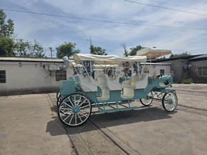 Chariot de balancelle électrique professionnel pour visites touristiques, modèle de charrette royale pour mariage, en vente directe d'usine - Product Image 5
