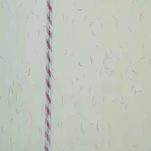 Papel de Seguridad con Marca de Agua para Impresión de Cupones, Boletos, Vales y Certificados - Product Image 1