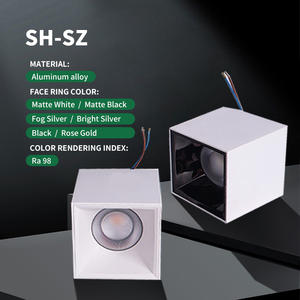 <span class=keywords><strong>Downlight</strong></span> LED Cuadrado de Instalación en Superficie, Simple y Avanzado, de 15w, 20w, 30w, 40w, 50w, con Alta Resistencia al Agua <span class=keywords><strong>IP65</strong></span> - Product Image 1