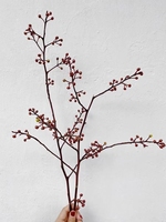 Großhandel natürliche Weide trockene Äste und getrocknete Blumen Cornus Control versa Dekorationen für Easter Hotel Mall Dekorationen