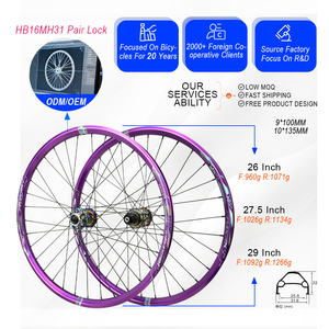 Roues de VTT en aluminium PASAK pour piste, modèle Fishtail, 26/27,5/29 pouces, paire, fixation rapide, frein à disque, pneu clincher HGMS XD - Product Image 1