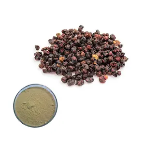 Extrait de Schisandra Chinensis Baill à base de plantes 2%-9% schisandrines