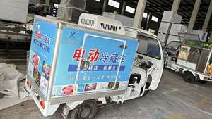 Gran oferta de China, <span class=keywords><strong>triciclo</strong></span> eléctrico con caja de refrigeración, caja de aislamiento, mini caja de <span class=keywords><strong>triciclo</strong></span> para vehículos - Product Image 2