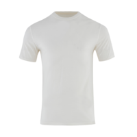 T-shirt pour homme, T-shirt à manches courtes indispensable pour homme, article essentiel pour l'été