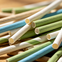 Pailles droites personnalisées en PLA compostable, biodégradables, durables, accessoires de bar jetables, pailles en papier recyclé