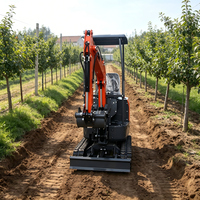 Excavatrice sur chenilles portable QS-12J avec une efficacité opérationnelle élevée et une garantie d'un an pour les travaux de paysagisme et de construction rurale