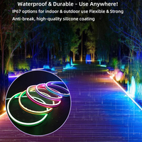 Dimmable APP Control RGBIC Smart Neon Strip Light 6*12mm 12V 24V IP67 Étanche pour Salle de Jeu et Neon Light Wedding Party
