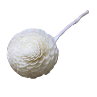 Diffuseur de roseaux en bois solaire, 4.5CM, désodorisant pour voiture, bâton à fleurs