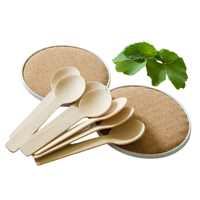 Cuillères en bois jetables de haute qualité pour café et thé, ustensiles de table durables en bois de bouleau pour cafés et bistrots