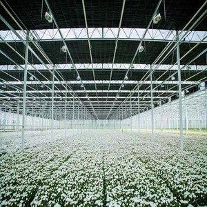 Grande serre commerciale de double couche de PE avec le film de privation de lumière de panne d'électricité pour l'usage de plante agricole - Product Image 4