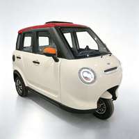 Tricycle électrique à double rangée entièrement fermé, nouvelle énergie, pour le transport de marchandises domestiques, livraison directe usine
