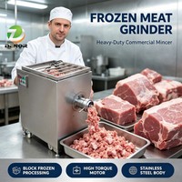 Machine à hacher multifonctionnelle pour poisson, poulet, viande de porc, hachoir commercial pour cou de poulet, hachoir à viande congelée
