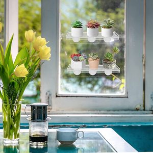 Trong suốt trong nhà cửa sổ nhà máy Kệ rõ ràng <span class=keywords><strong>Acrylic</strong></span> gờ hút <span class=keywords><strong>cup</strong></span> cửa sổ kệ cho các nhà máy cửa sổ - Product Image 5