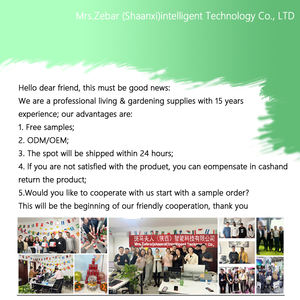 Poteau de jardin en métal robuste et moderne en EVA pour tomates, concombres, fraises, haricots et arbres, taille personnalisable, utilisation intérieure/extérieure - Product Image 6