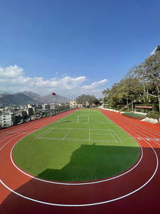 Inolp พื้นกีฬาไฮบริดทนทานได้รับการรับรองจาก IAAF, ลู่วิ่งกีฬากลางแจ้งสำหรับฝึกซ้อมและวิ่ง - Product Image 2