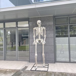 Décorations d'Halloween Humaines en Plastique Fantôme Mobile Full Body Life Certaines Tailles Halloween Squelette à Vendre - Product Image 4