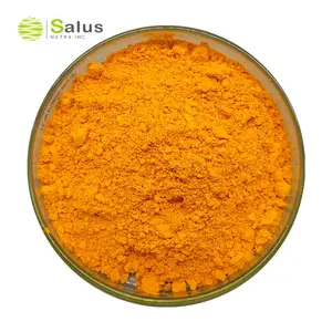 Natural Organic Turmeric Root Extract 95% cumin extract powders