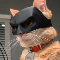 Masque de chat Batman et Spiderman en plastique pour Halloween, accessoire de tête créatif, coiffe de dessin animé mignonne, accessoires pour cheveux