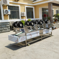 Machine de séchage à air soufflé entièrement automatique à commande par onduleur pour la ligne de production de déshydratation des champignons, des légumes-feuilles et des emballages souples