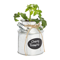 Lot de 3 jardinières à herbes en métal galvanisé pour plantes d'intérieur Pots de fleurs de ferme avec plateau