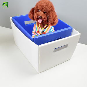 Caja Transportadora de Mascotas Portátil de PP, Plegable, Aprobada por Aerolíneas, para Viajes, para Perros y Gatos - Product Image 4