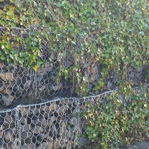 Hot bán 2x1x1m Mexico caja de gaviones 240g/m2 kẽm mạ kẽm <span class=keywords><strong>gabion</strong></span> hộp dây <span class=keywords><strong>gabion</strong></span> giỏ - Product Image 5