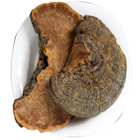GMP-standaard, hoogwaardige voedingskwaliteit polysacharide-extract Trametes Robiniophila Huaier poeder, vacuüm verpakt in trommel, oplosmiddelvrij
