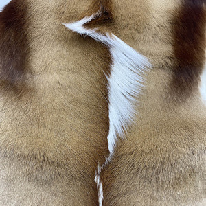 Pelle di pelle di vera antilope su misura pelle di pelle pelle pelle di capra capelli lunghi - Product Image 3