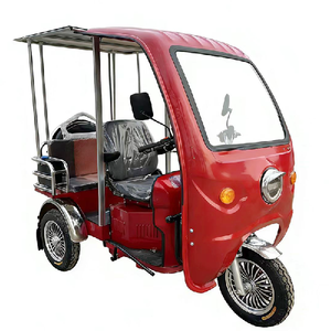 Handicapped Tricycle Power Closed Body Rain Cover 300-400kg Payload for Easy Travel Passenger Motorized Tricycles - Product Image 1