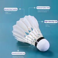 Volant de badminton OEM hybride sport T3 en plumes d'oie, léger, haute élasticité, double couche, base en liège, vente en gros d'usine
