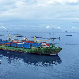 Transport maritime FCL de la Chine vers l'Inde et le Pakistan, service de transitaire - Product Image 3