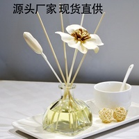 Diffuseur de roseaux à la lavande personnalisable de 100 ml, nouveau design