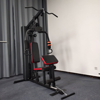 XOYOOU Mini Gym Multifonctionnel d'Intérieur à Station Unique |   Machine d'exercice multifonctionnelle pour musculation : Lat Pulldown, Chest Press et Leg Developer