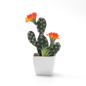 Decorazione della tavola piccoli <span class=keywords><strong>fiori</strong></span> finti in vaso all'ingrosso <span class=keywords><strong>cactus</strong></span> artificiale <span class=keywords><strong>con</strong></span> piccoli verdi succulenti - Product Image 2