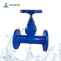 Vanne à opercule manuelle en fonte ductile GGG50 DIN3352 F4 PN16 DN50-DN400 à bride EPDM, revêtement époxy bleu