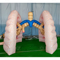 Modèle anatomique gonflable extérieur pour poumons Ballon publicitaire pour l'éducation médicale Pompe électrique durable et étanche gonflée